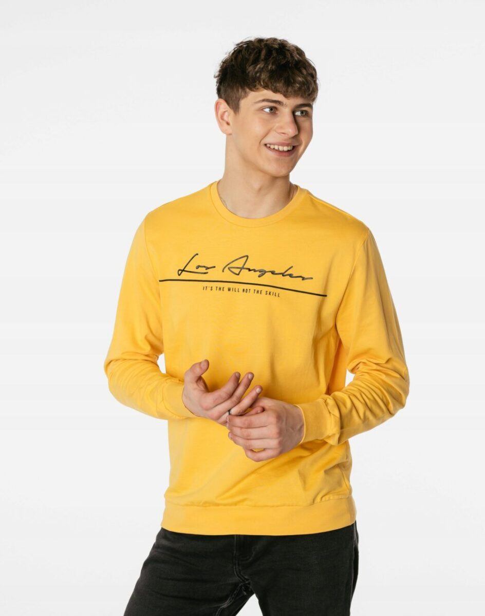 13613065039