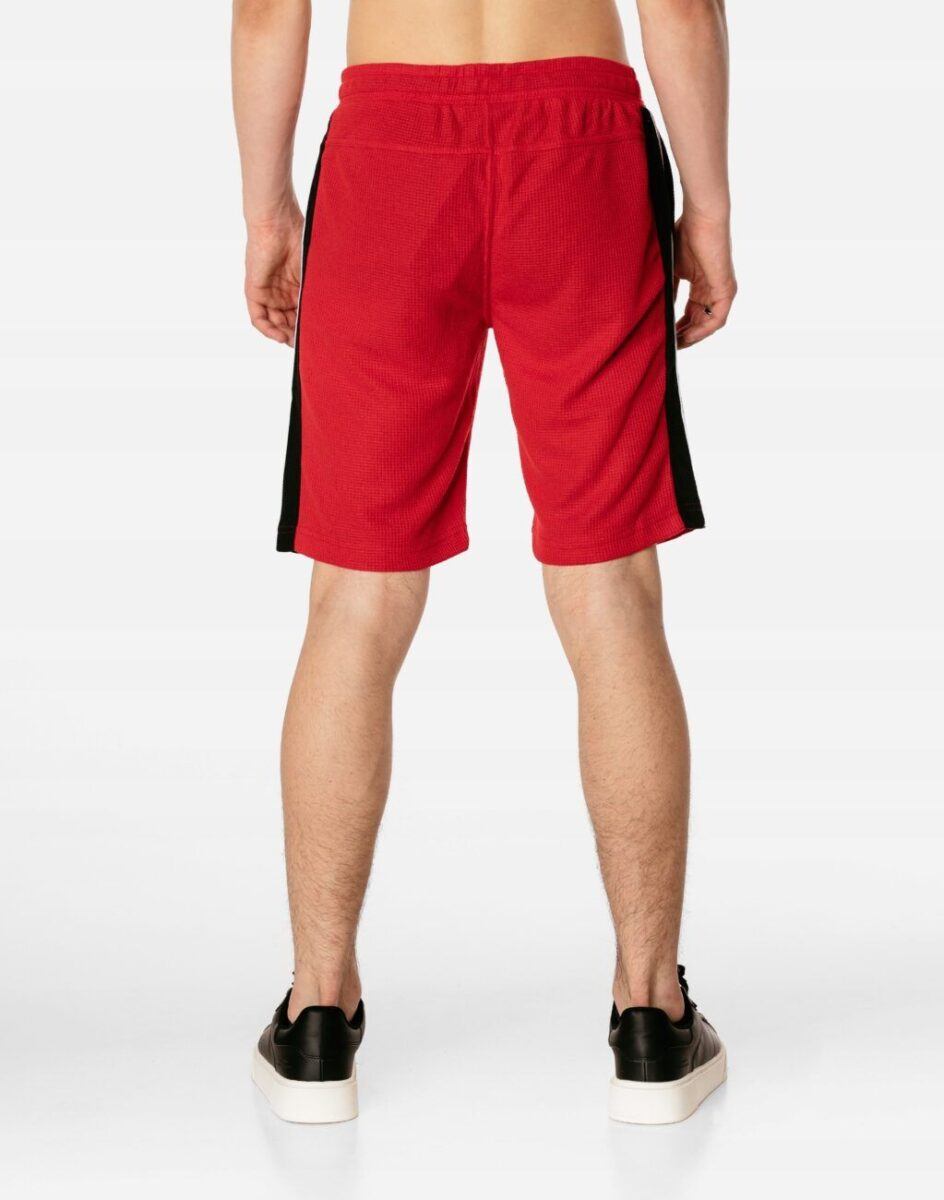 13855160617