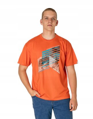 18589571029